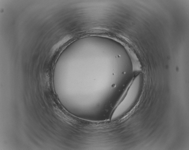 X0000068841402200605261629