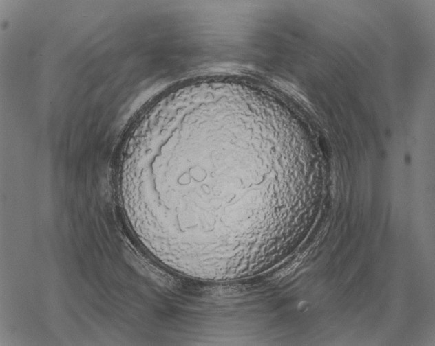 X0000068841404200605261629