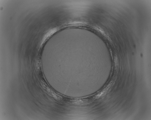 X0000068841405200605261629