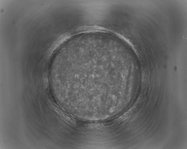 X0000068841407200605261629