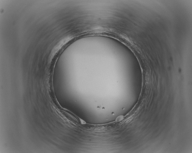 X0000068841410200605261629