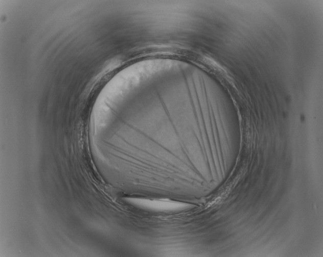 X0000068841411200605261629