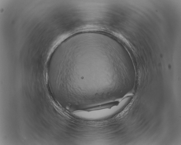 X0000068841413200605261629