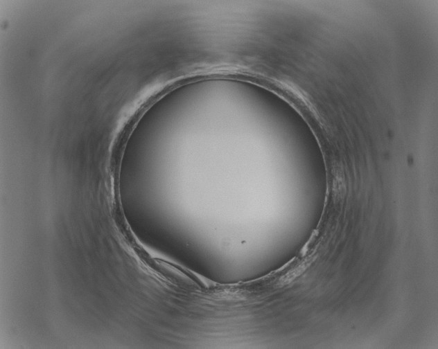 X0000068841414200605261629