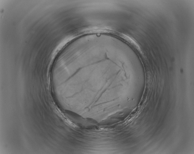 X0000068841419200605261629