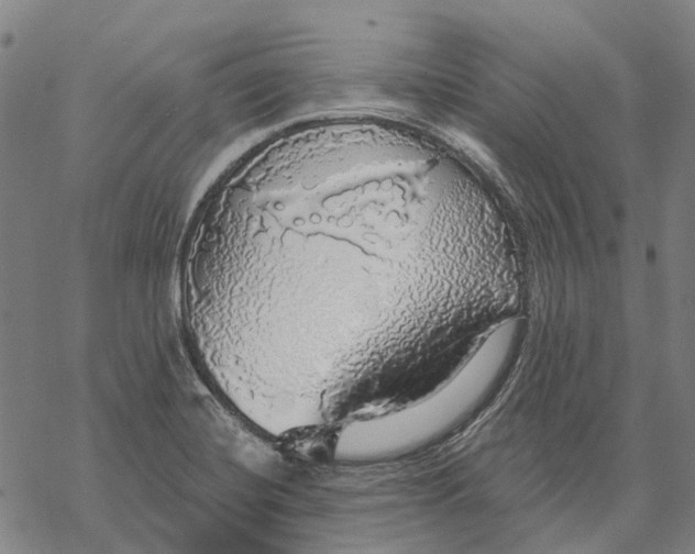 X0000068841420200605261629