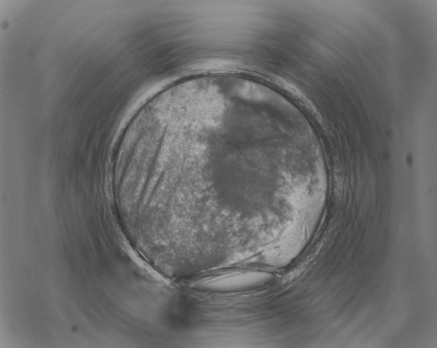 X0000068841421200605261629