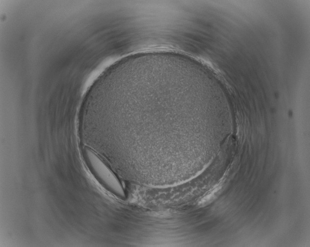 X0000068841422200605261629