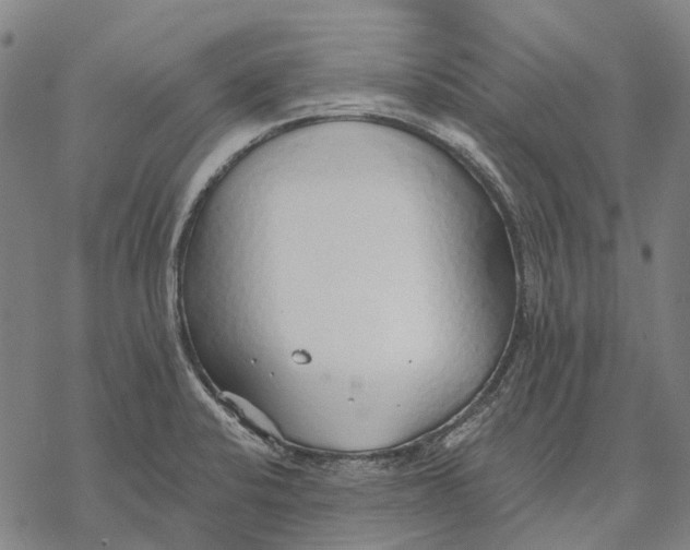 X0000068841424200605261629