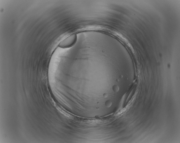 X0000068841425200605261629