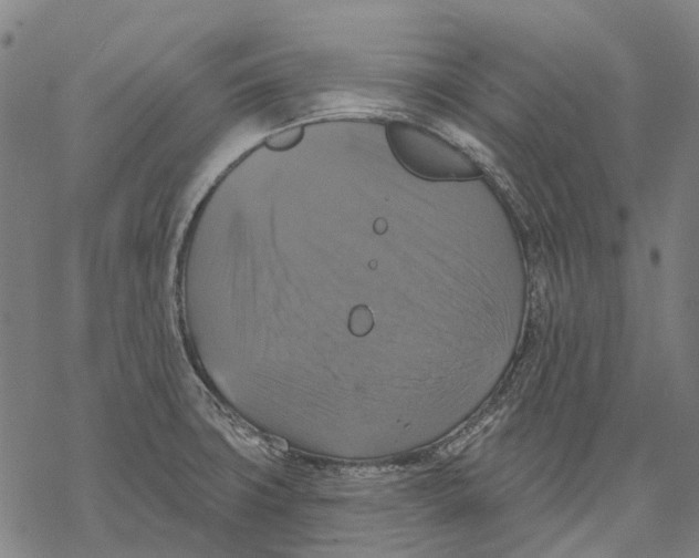 X0000068841427200605261629