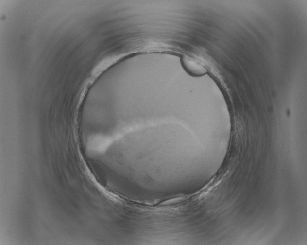 X0000068841429200605261629