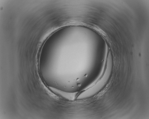 X0000068841430200605261629