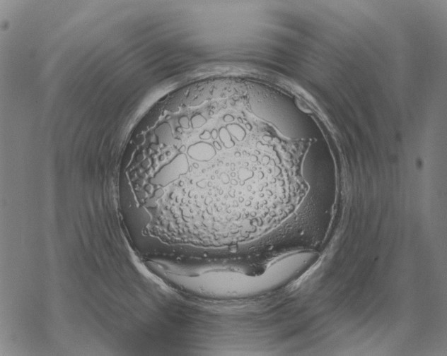 X0000068841433200605261629