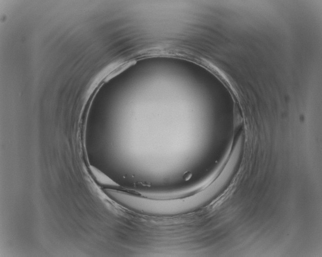 X0000068841434200605261629