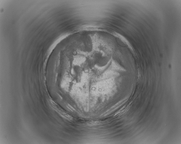 X0000068841435200605261629