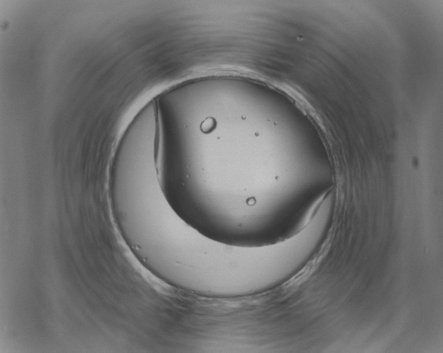 X0000068841438200605261629