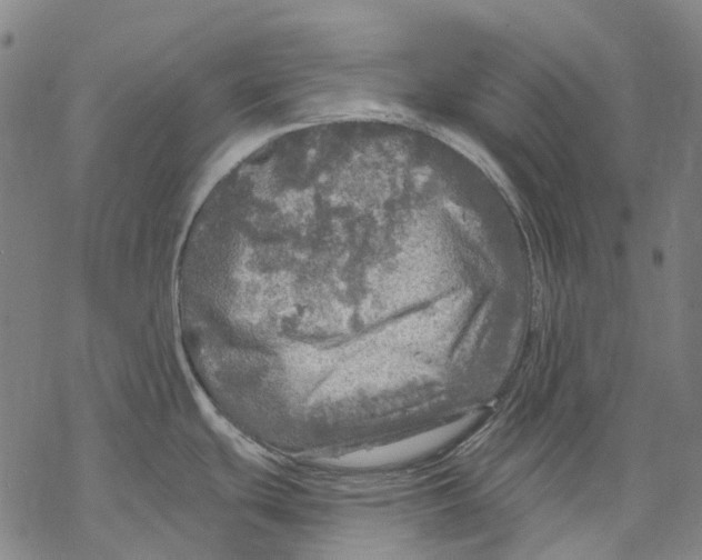 X0000068841439200605261629