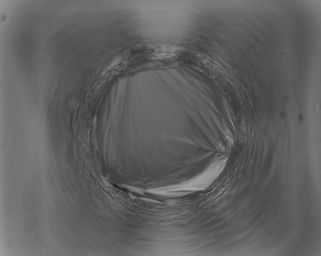 X0000068841441200605261629