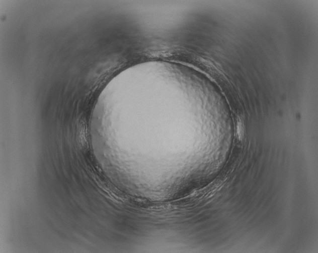 X0000068841444200605261629