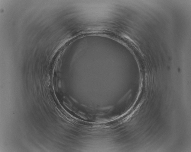 X0000068841449200605261628