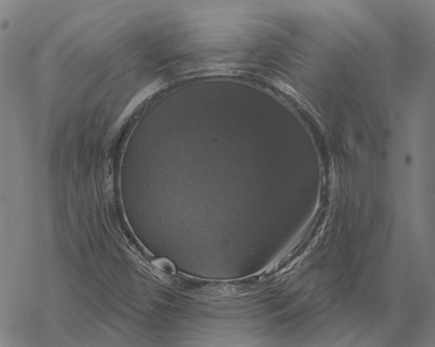 X0000068841450200605261628