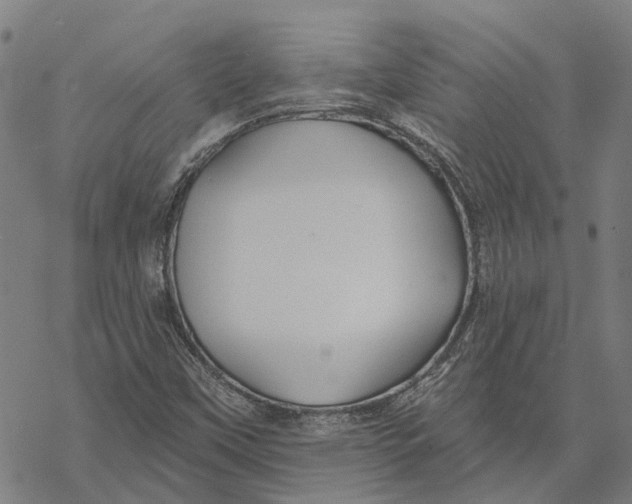 X0000068841451200605261628