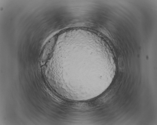 X0000068841452200605261628