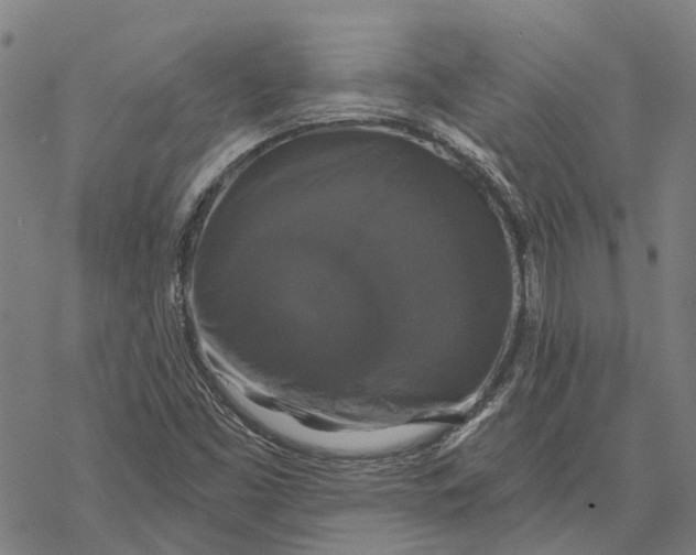 X0000068841453200605261628