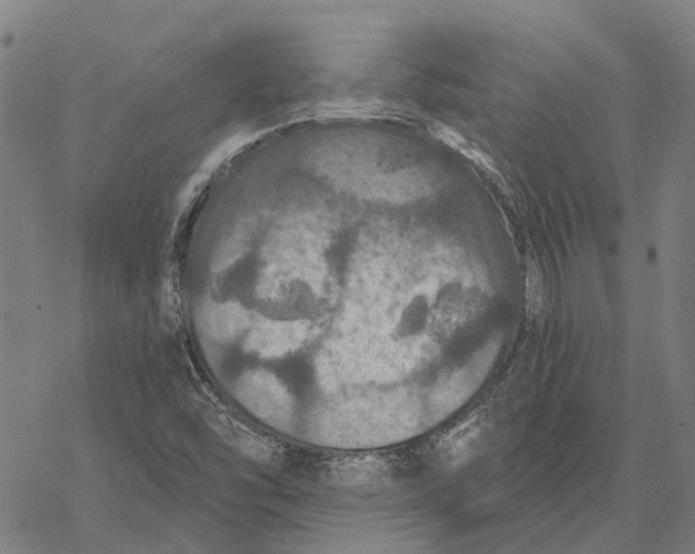 X0000068841454200605261628