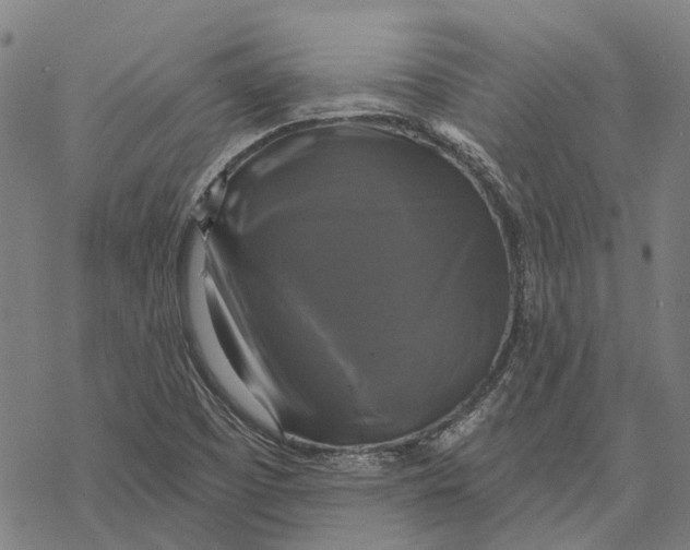 X0000068841457200605261628