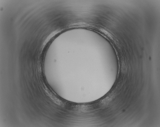 X0000068841458200605261628