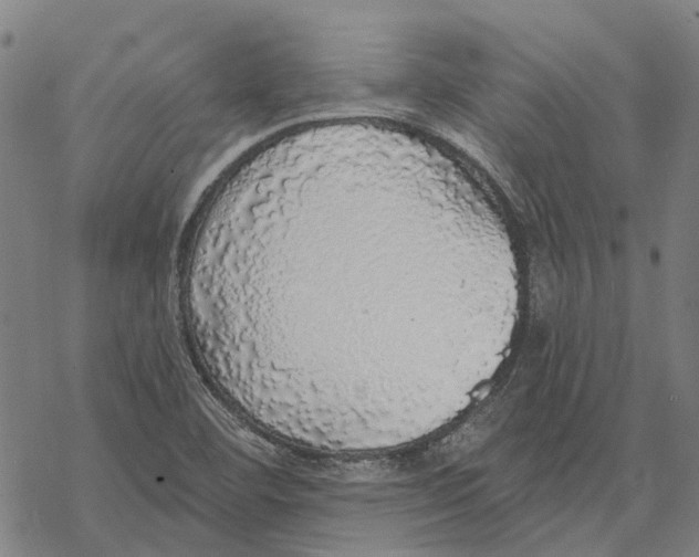 X0000068841460200605261628