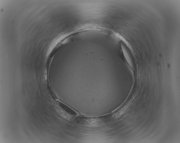 X0000068841461200605261628