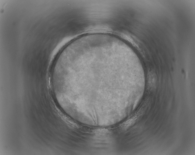 X0000068841462200605261628