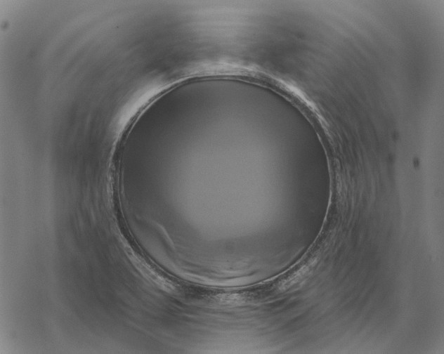 X0000068841463200605261628