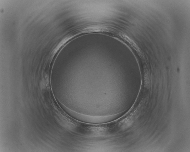 X0000068841465200605261628