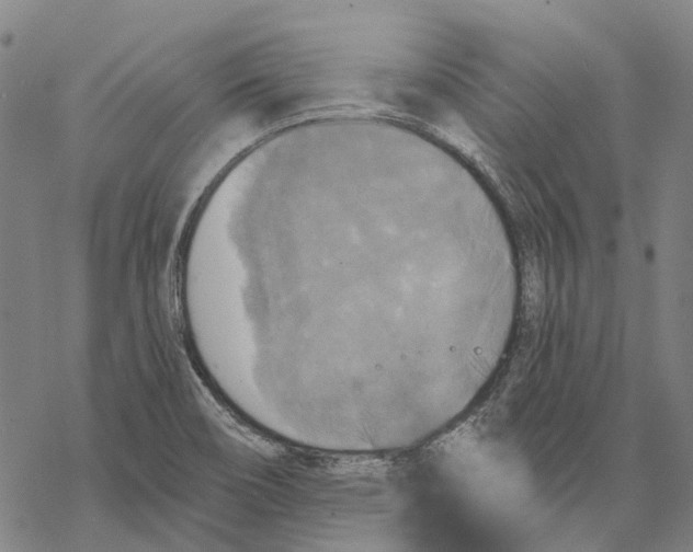 X0000068841466200605261628