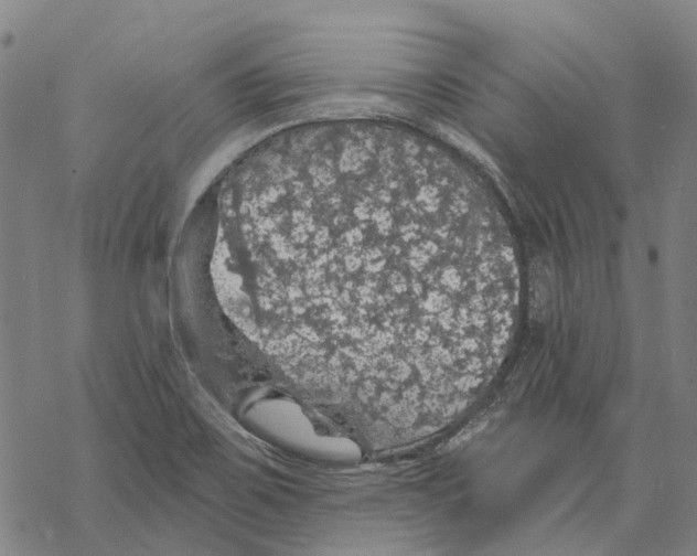 X0000068841467200605261628