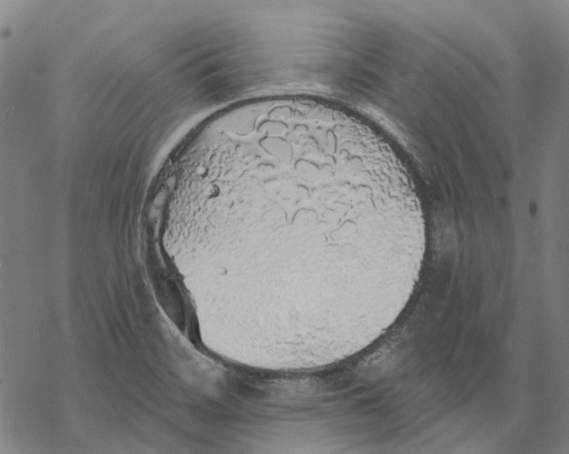 X0000068841468200605261628