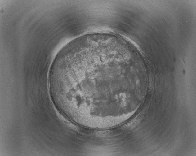 X0000068841471200605261628