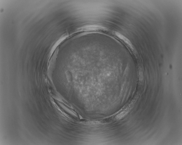 X0000068841473200605261628