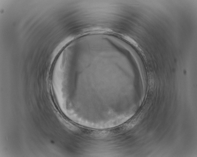 X0000068841474200605261628