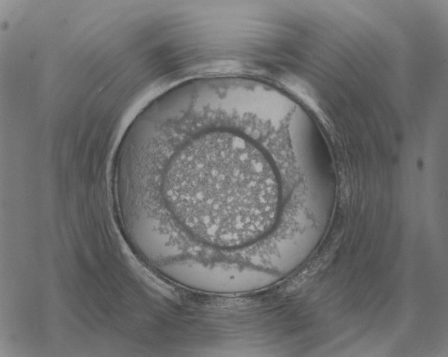 X0000068841475200605261628