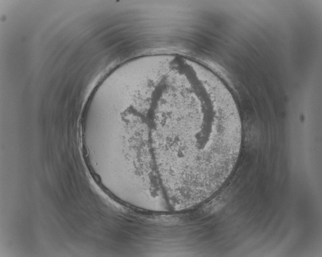 X0000068841476200605261628