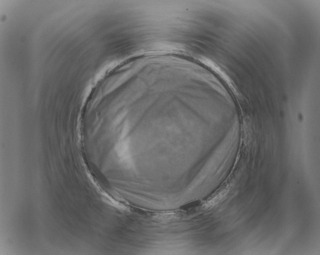 X0000068841477200605261628