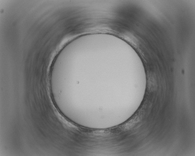 X0000068841478200605261628