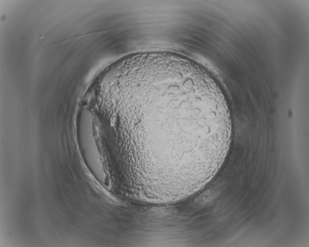 X0000068841480200605261628