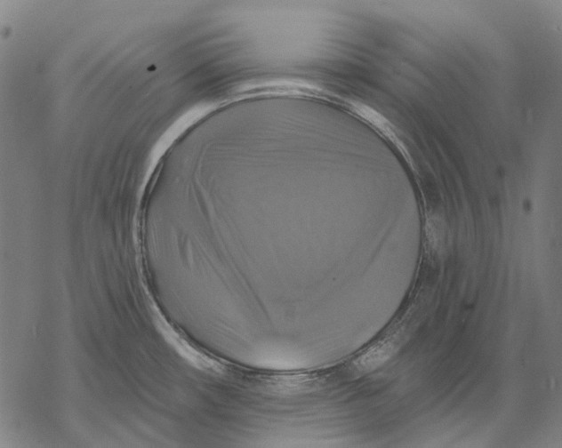 X0000068841482200605261628