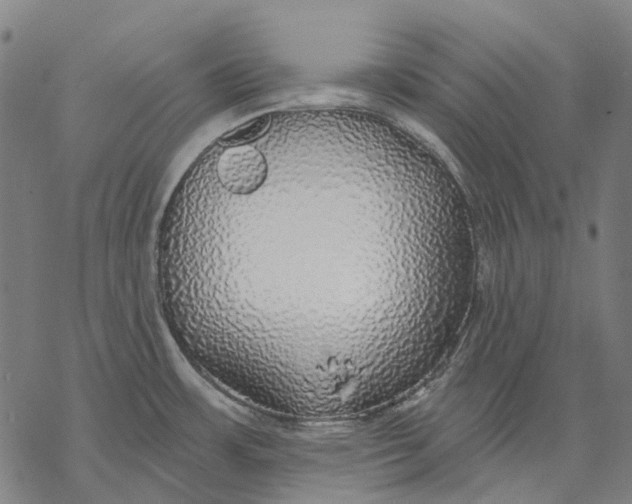 X0000068841483200605261628